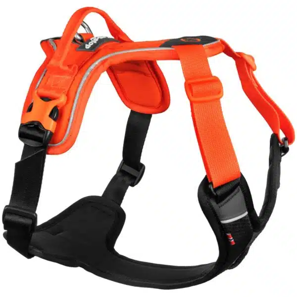 Non-Stop Ramble Harness Orange