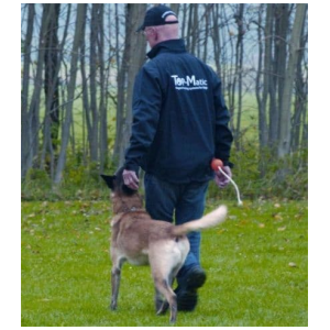 Image for article 13680