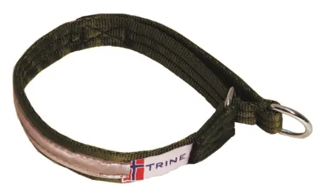 Trine Halsbånd webb m. refleks Grønn (Størrelse: 35cm)