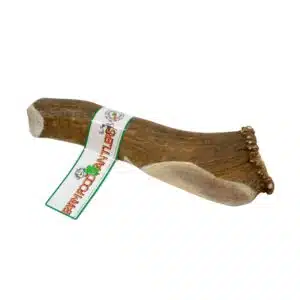 Farm Food Antlers Hjorte Gevir