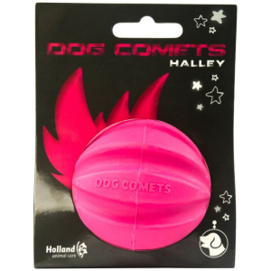 Dog Comets Halley