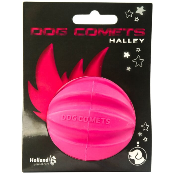 Dog Comets Halley