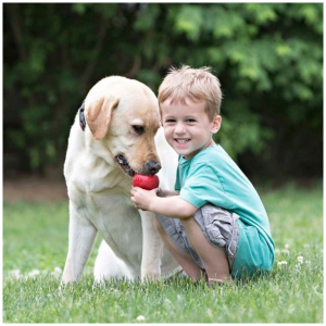 Image for article 4145