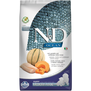 N&D Ocean Cod Pumpkin & Melon Puppy Med/Max