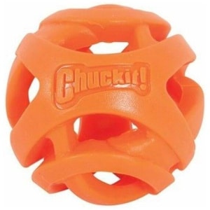 Chuckit Breathe Right Fetch Ball