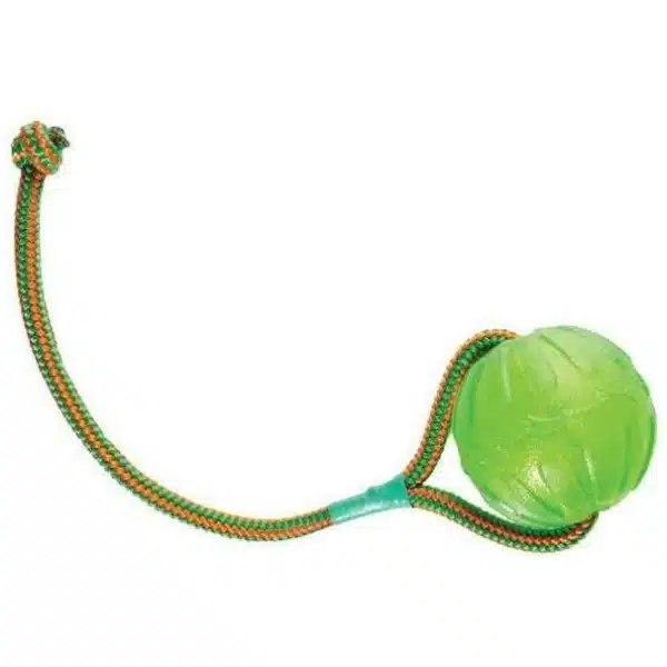 Starmark Swing 'n Fling Chewball