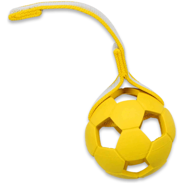 Sporting Ball on a strap