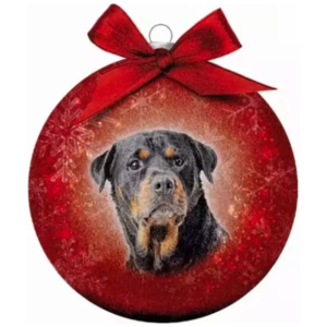 Julekule Rottweiler