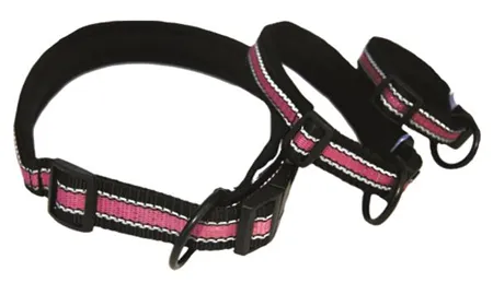 Trygg Polar Polstret Halsbånd Rosa (Størrelse: 20-30)