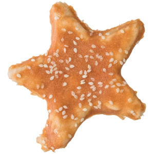 Denta Fun Chicken Star