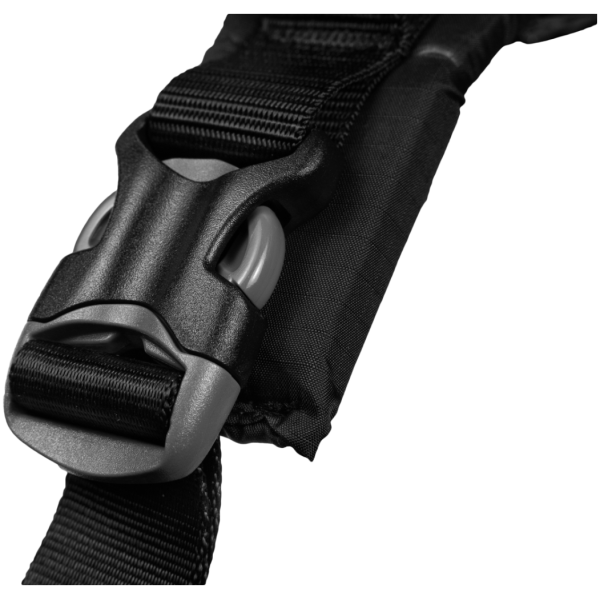 Image for article 10262