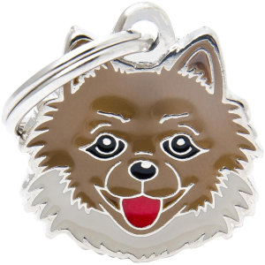 Pomeranian