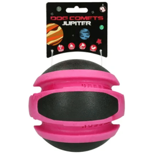 Dog Comets Planets Rosa