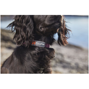 Image for article 15683