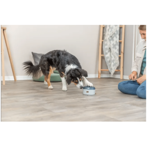 Trixie Dog Activity Buzzer Level 1