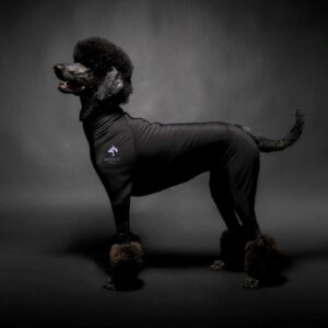 Wovv Kondomdress Tispe