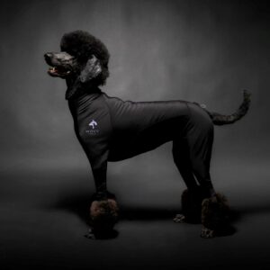 Wovv Kondomdress Hanhund