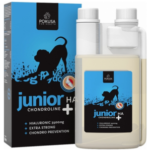 Pokusa Chondroline Junior+HA 500ml