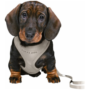 Trixie Junior Puppy Soft Sele m. line Grå