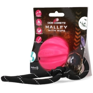 Dog Comets Halley m/tau Rosa