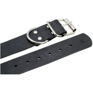 Alac Skinnhalsbånd Sort 40mm