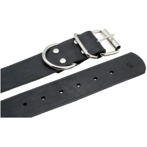 Alac Skinnhalsbånd Sort 40mm