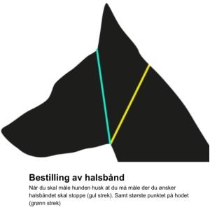 Flax Strongline Dressyrhalsband med stopp