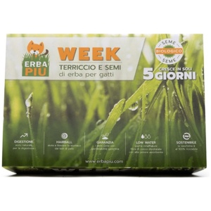Kattegress Week full kit