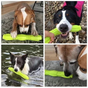 Laroo Fitness Stick