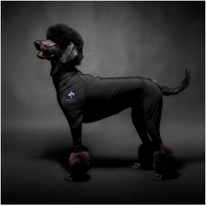 Wovv Kondomdress Hanhund