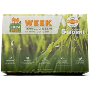 Kattegress Week full kit