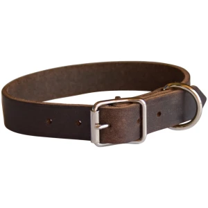 Alac Skinnhalsbånd Brun 22mm x 65cm